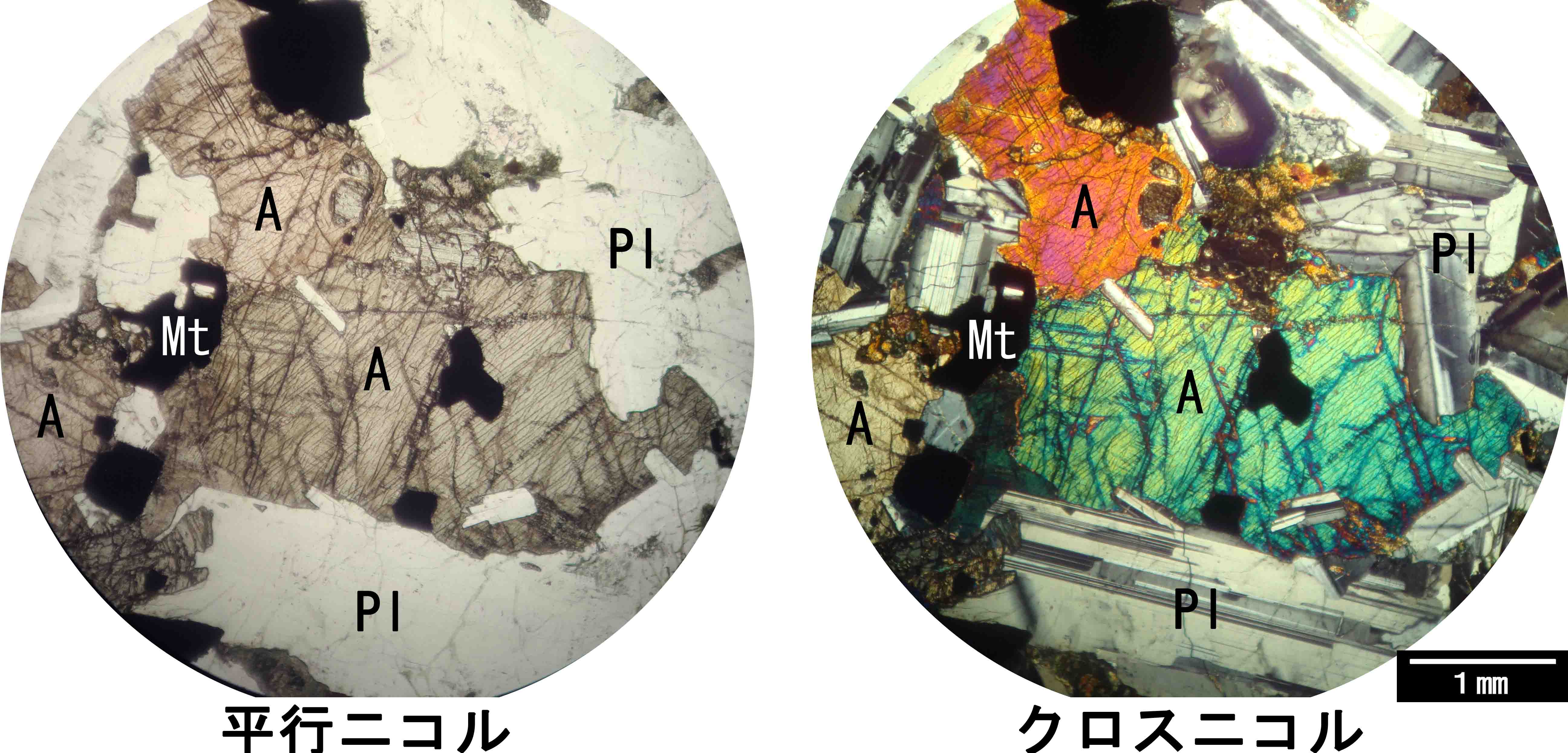 普通輝石 augite 普通輝石 augite